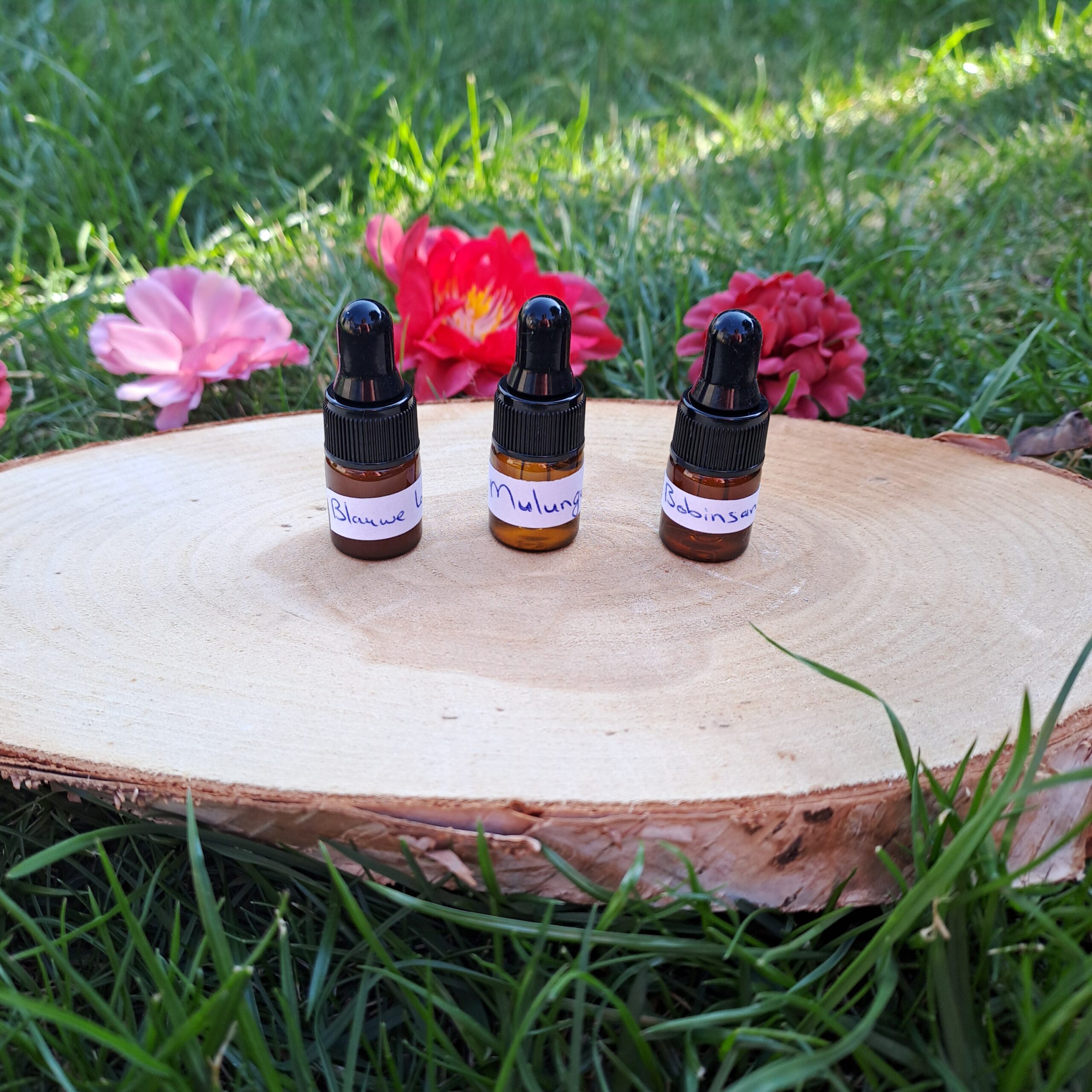 Probeersetje Tincturen - 3x 2ml